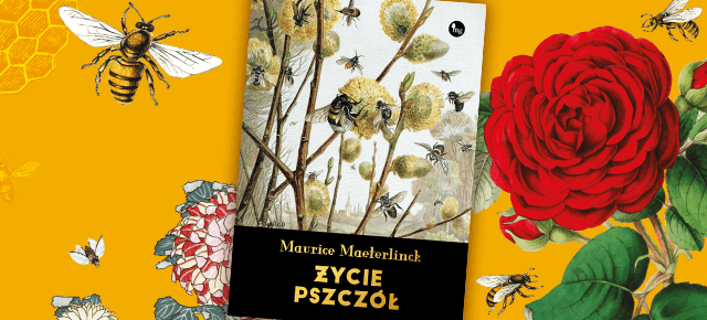 MG proponuje: Maurice Maeterlinck Życie pszczół