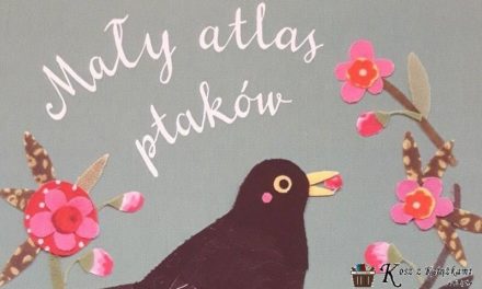 Mały atlas ptaków Ewy i Pawła Pawlaków – to nie jest wróbel!