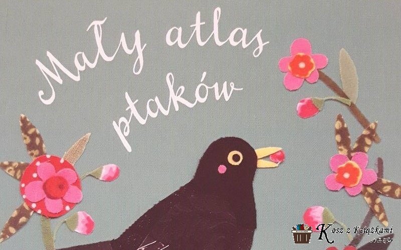 Mały atlas ptaków Ewy i Pawła Pawlaków – to nie jest wróbel!