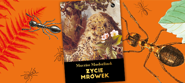Życie mrówek – kolejna cudowna książka Maurice Maeterlincka już w sprzedaży!